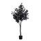 5ft. Pre-Lit Artificial Halloween Black Maple Tree with 240 Orange & Purple LED Lights